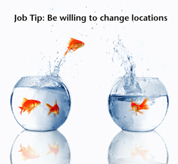 Text by Franke james; Photo of goldfish jumping ©istockphoto.com /Lise Gagne